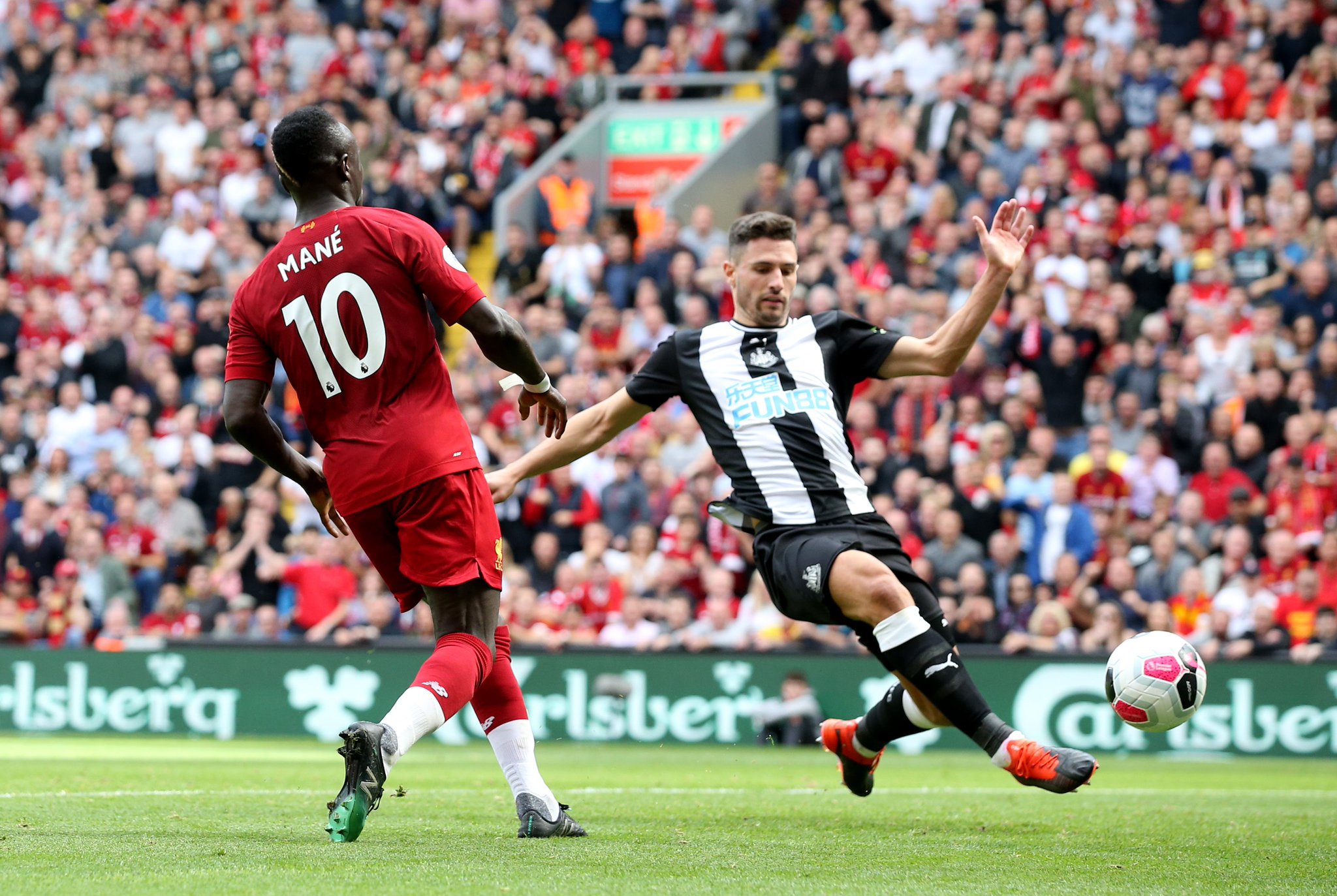 他们仍将在 他们仍将在